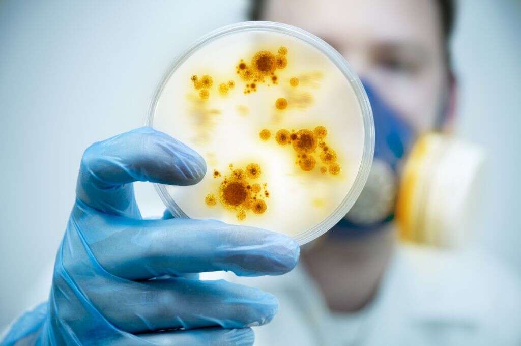 Coxsackievirus