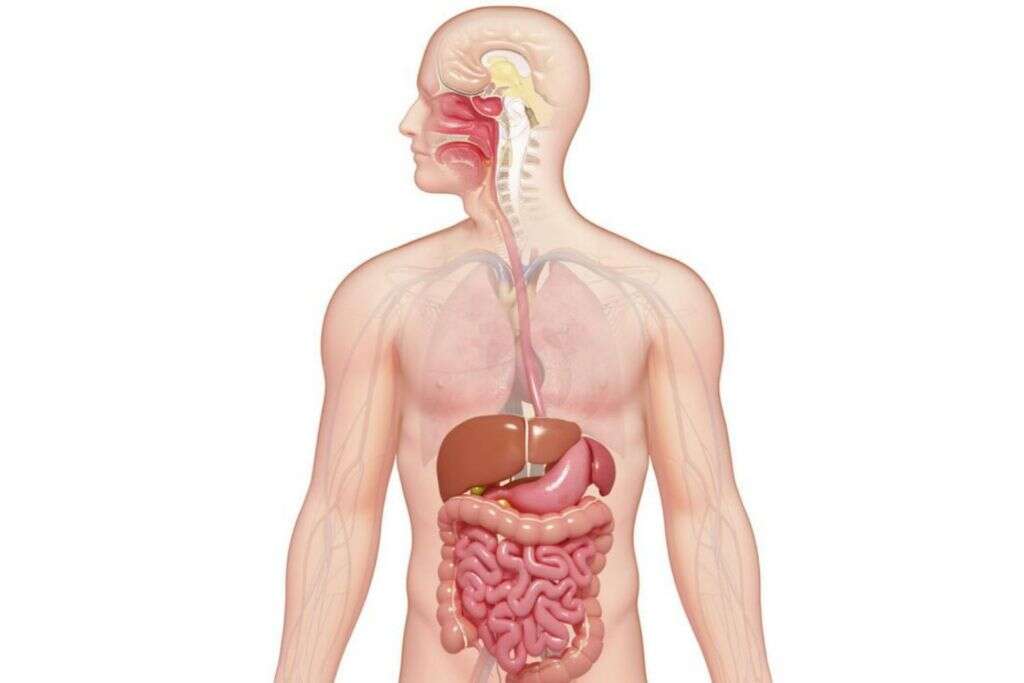 Cystic Fibrosis