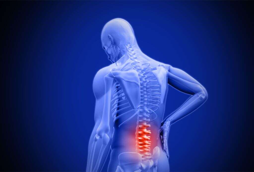 Degenerative Joint Disease