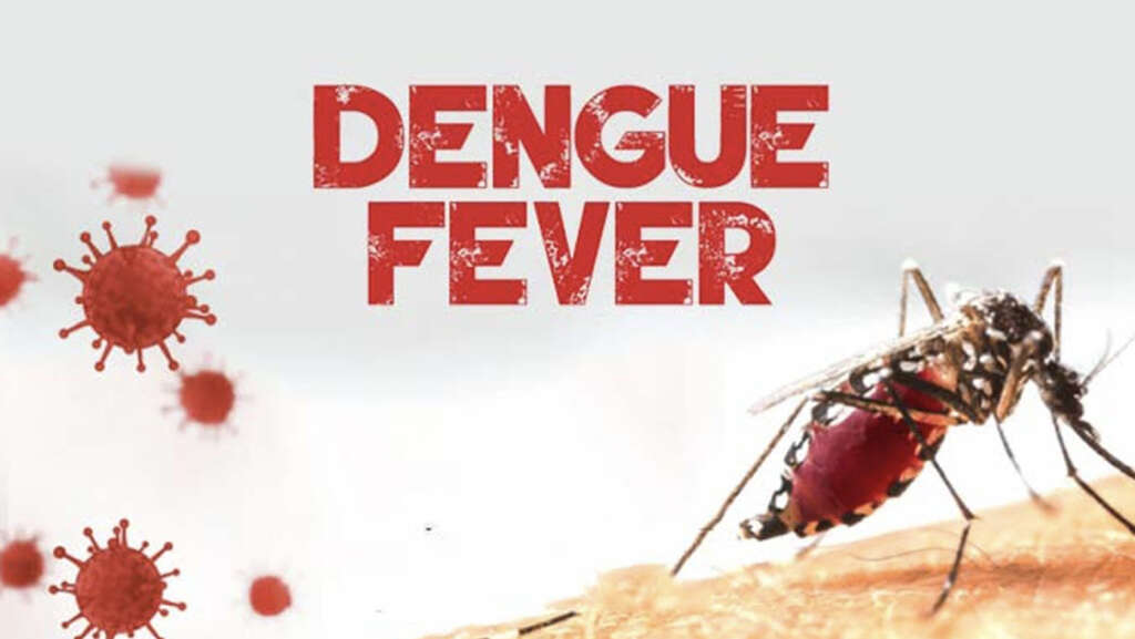 Dengue Fever