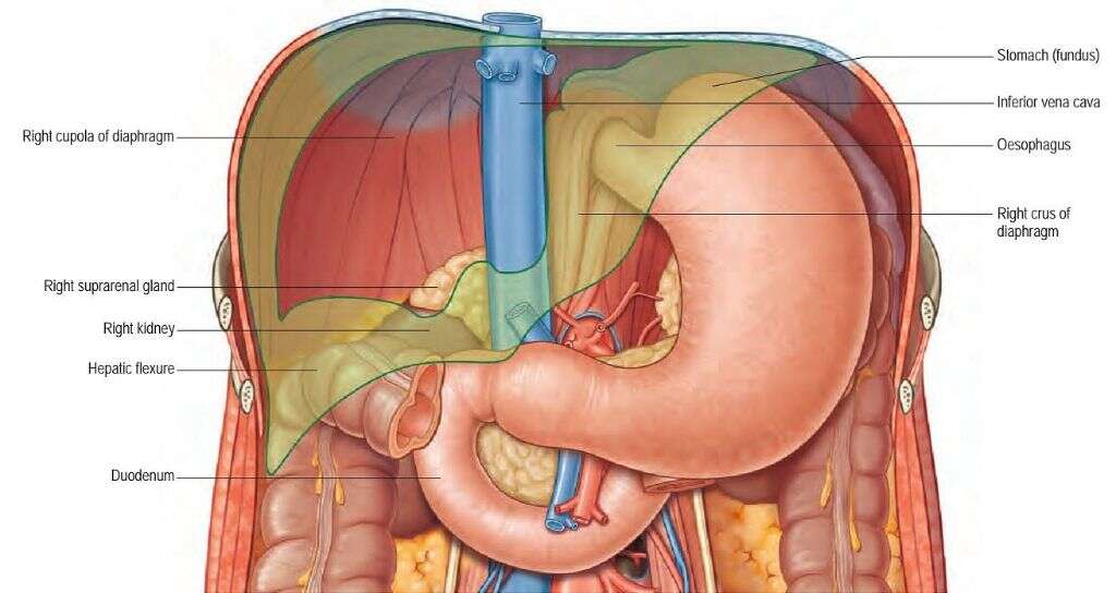 Duodenitis