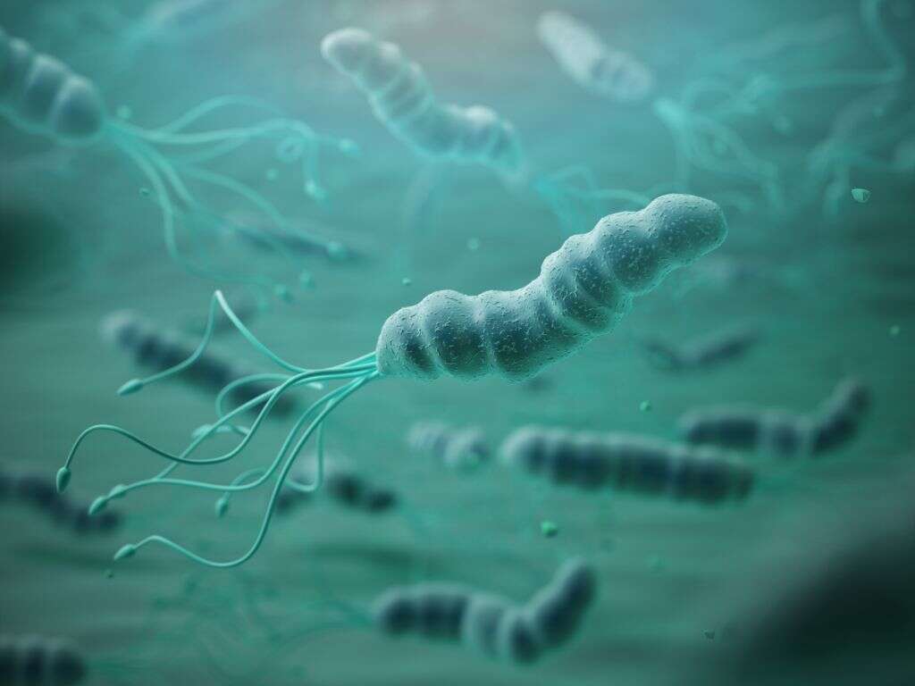 Duodenitis