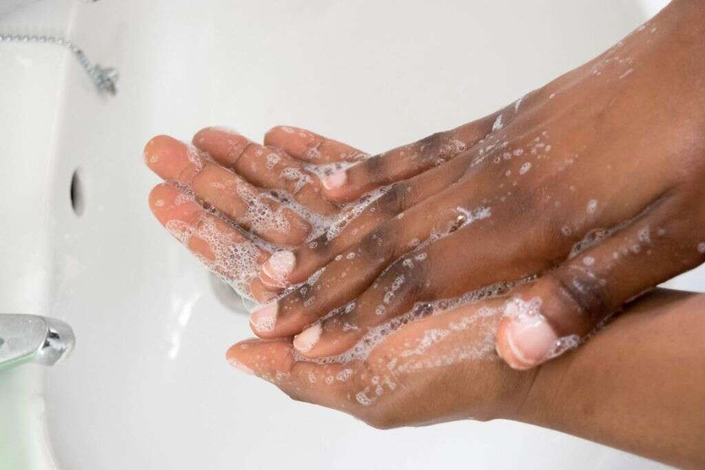 Ebola Virus