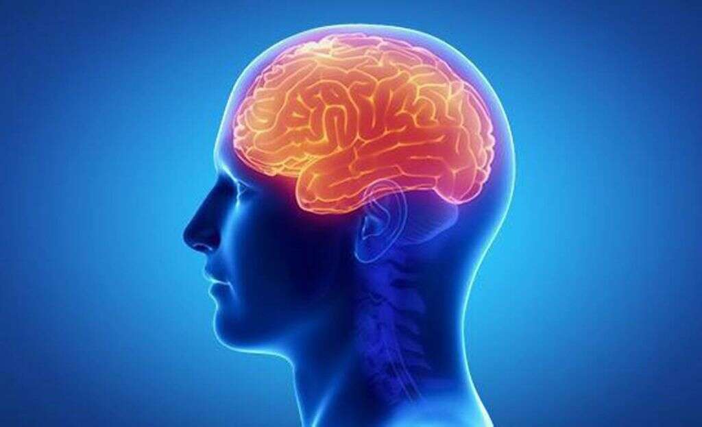 Encephalopathy Symptoms