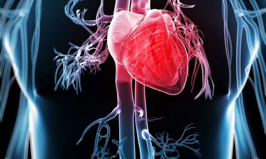 Endocarditis