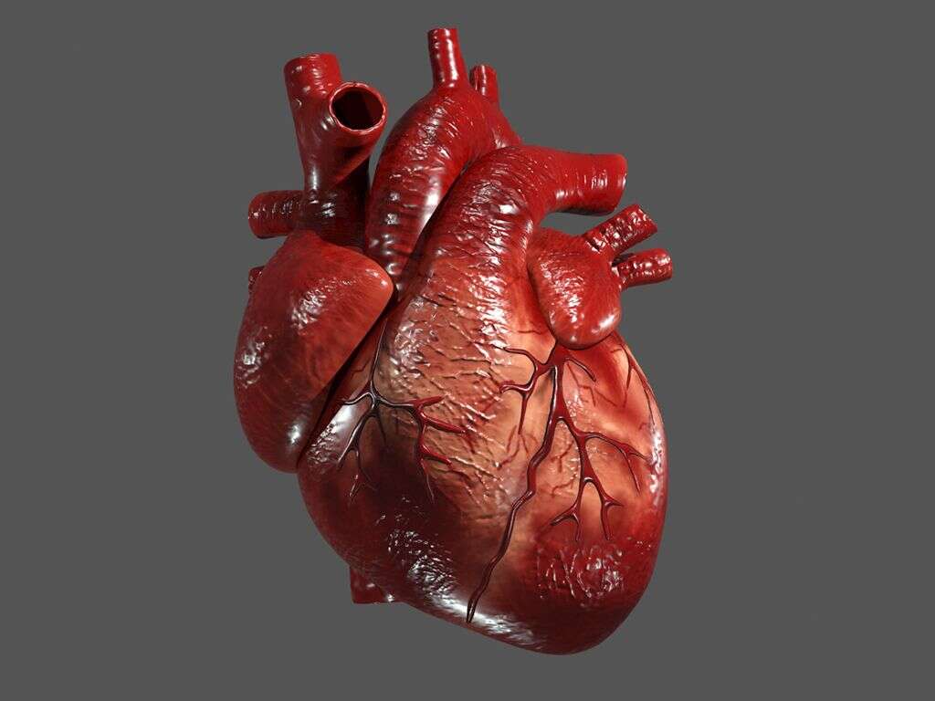 Endocarditis