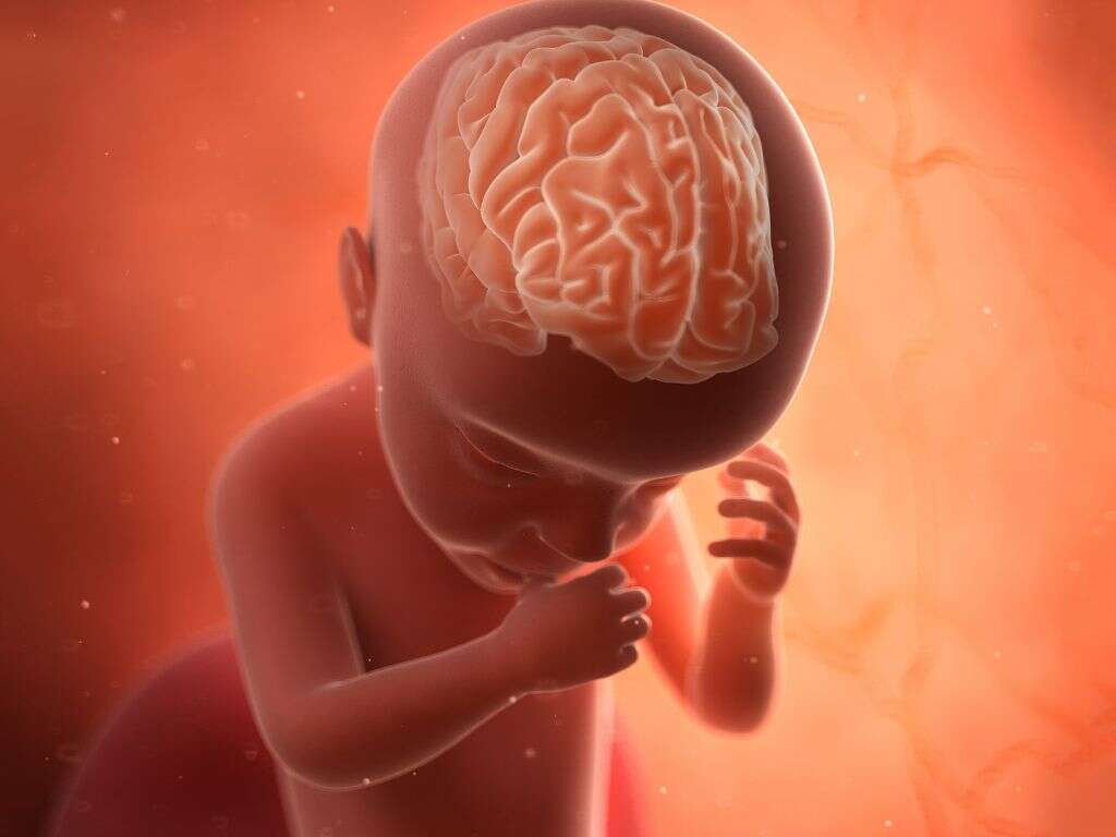 Fetal Alcohol Syndrome
