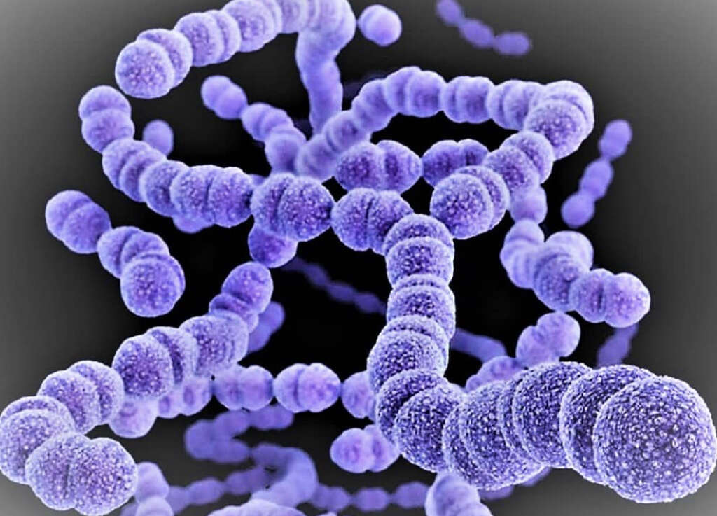 Flesh Eating Bacteria
