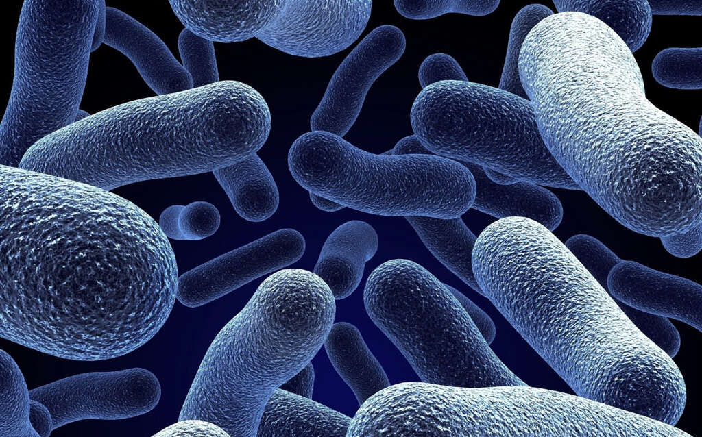 Flesh Eating Bacteria
