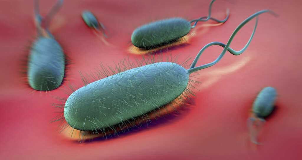 Gastritis