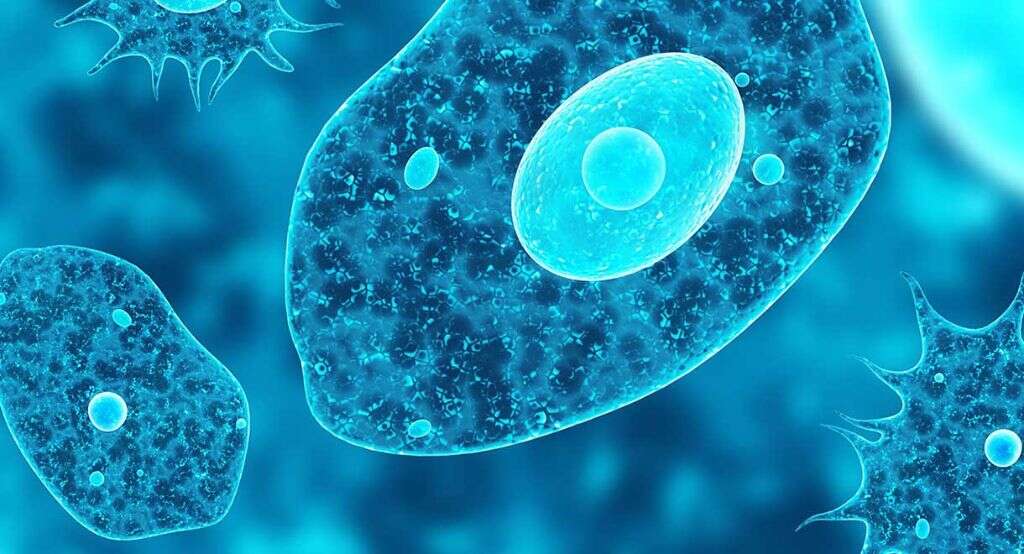 Giardiasis