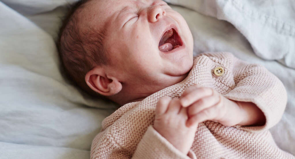 Hand, Foot, and Mouth Disease