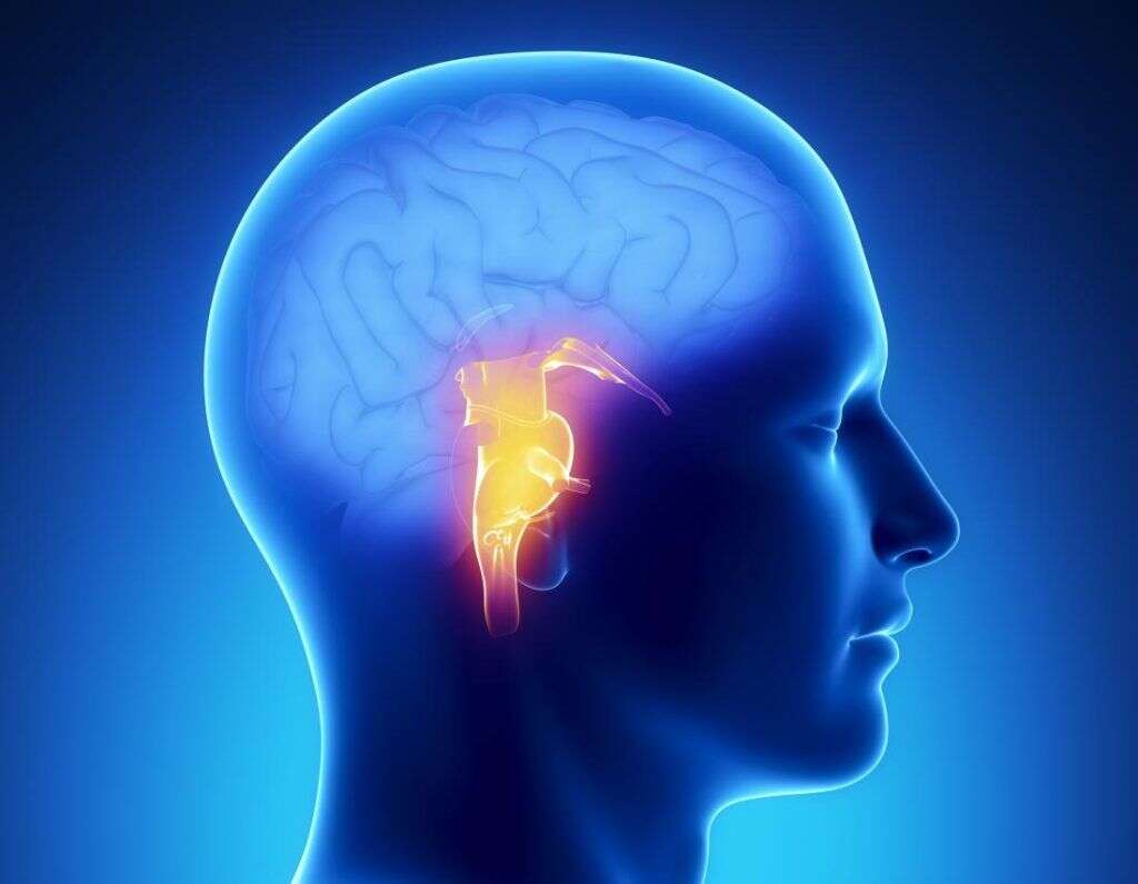 Horner's Syndrome