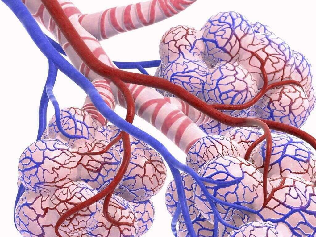 Hypercapnia