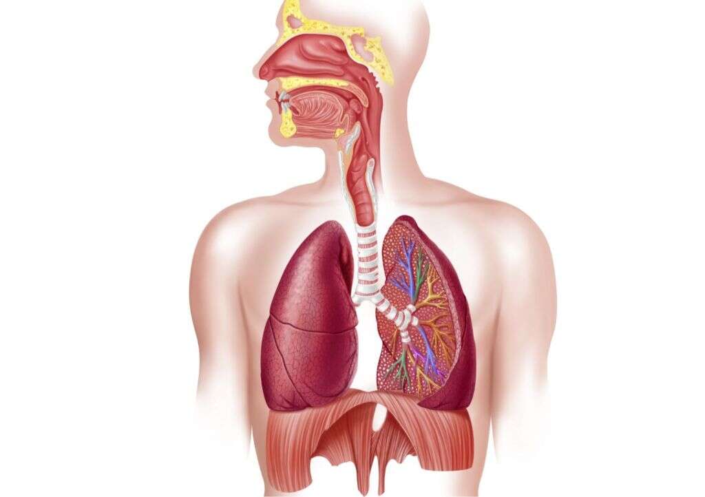 Hypercapnia