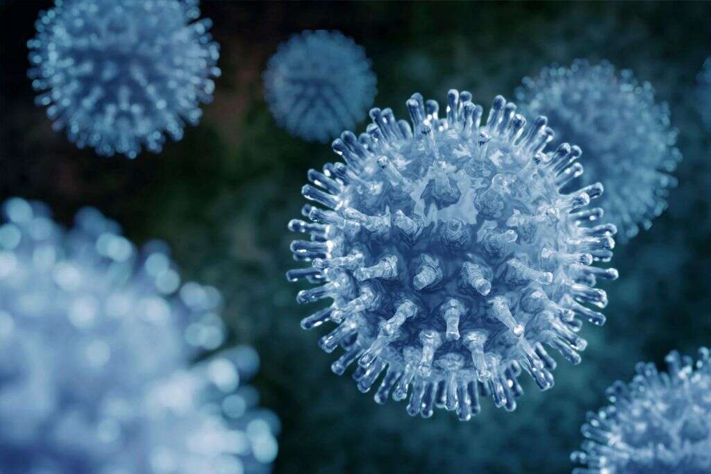 Influenza B