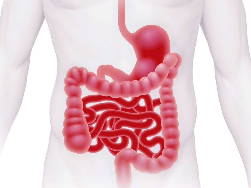 Irritable Bowel Syndrome