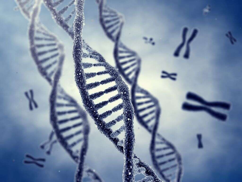 Kallmann Syndrome