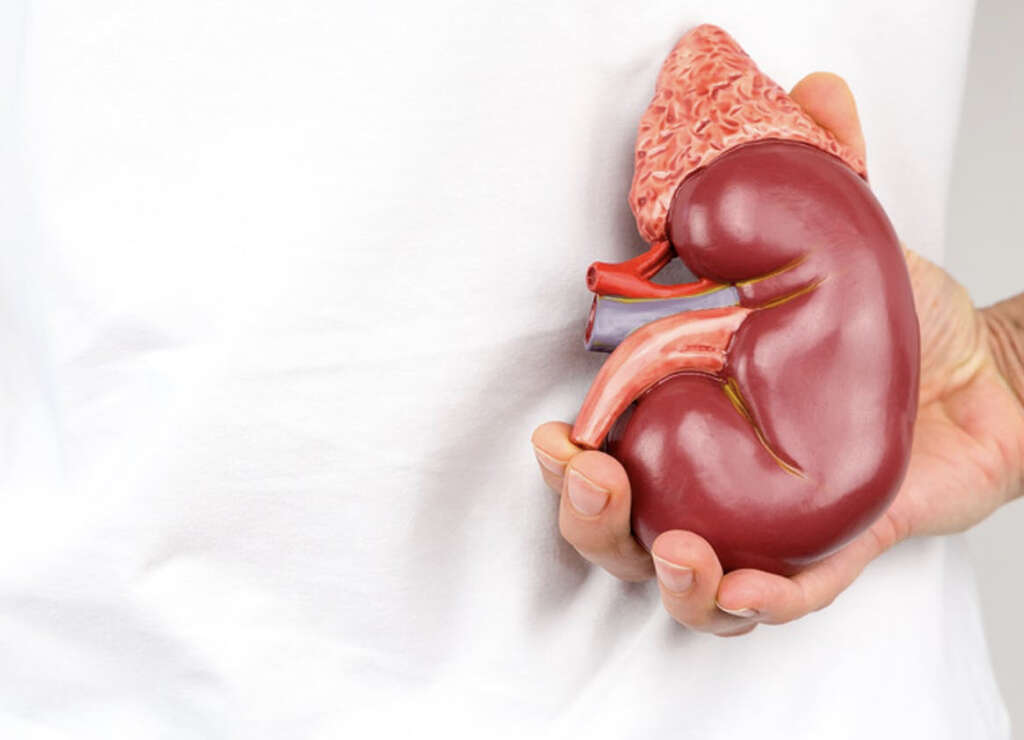 Kidney Disease