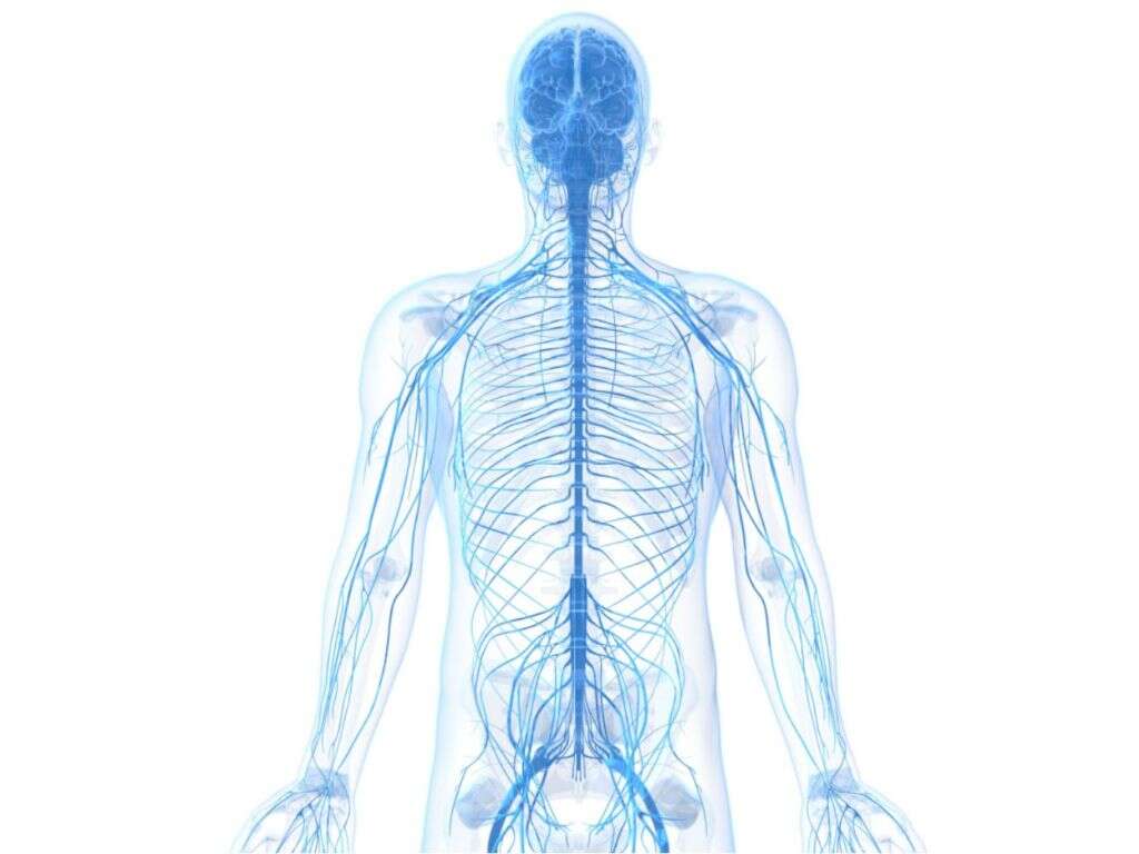 Krabbe Disease