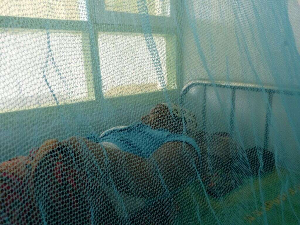 Malaria
