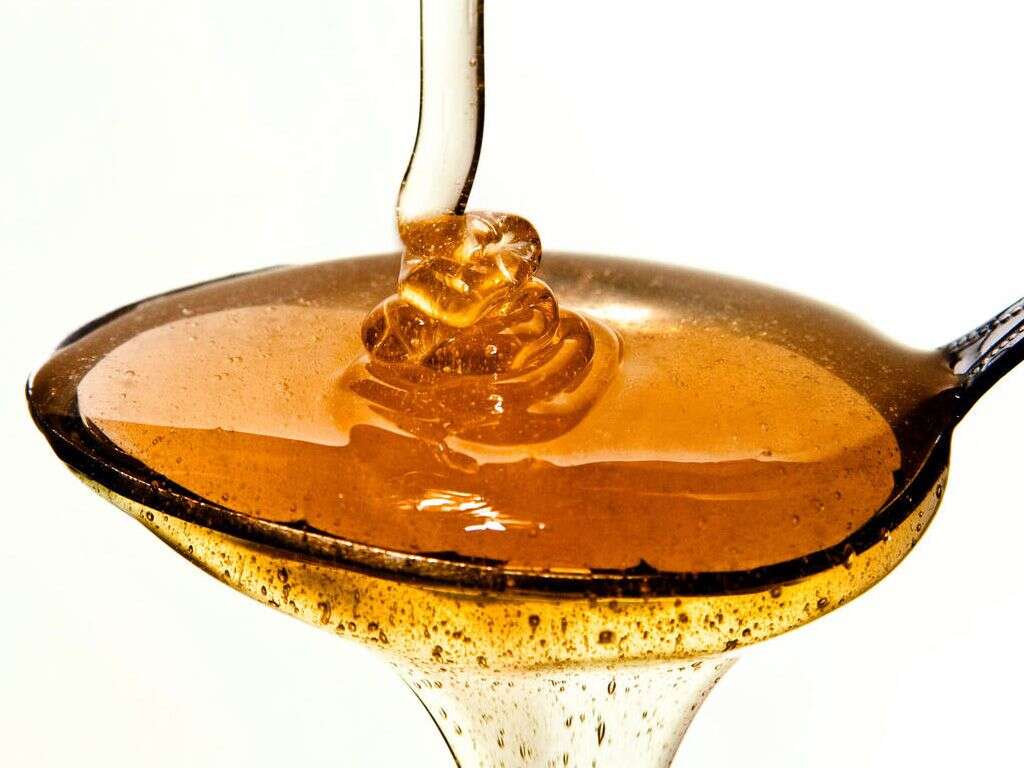 Maple Syrup Urine Disease