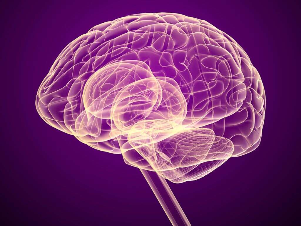 Moyamoya Disease