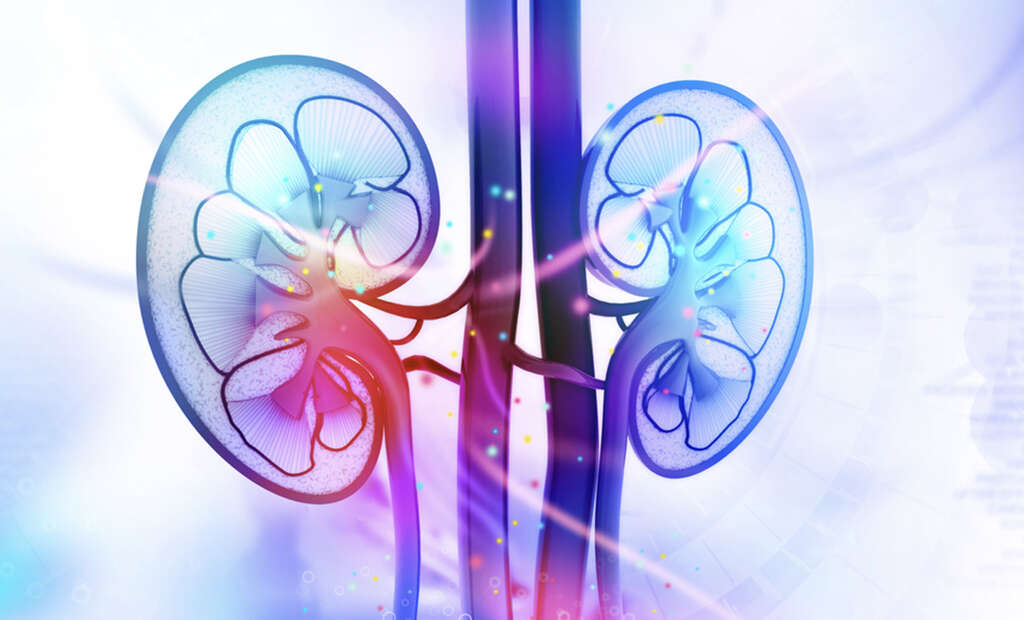 Nephrotic Syndrome
