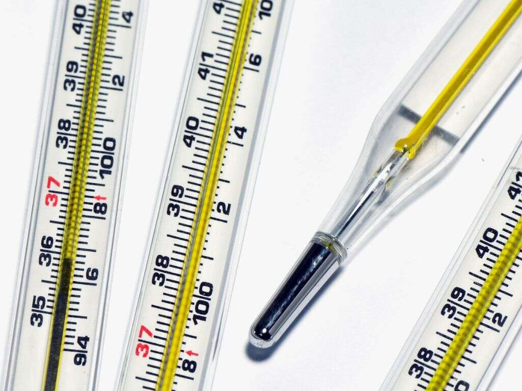 Body Temperature