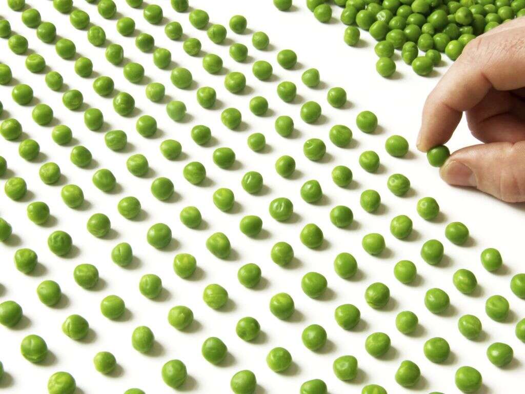 Obsessive Compulsive Disorder