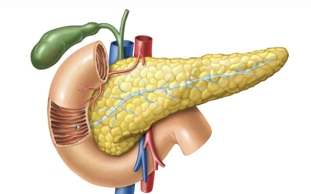 Pancreatic Cancer