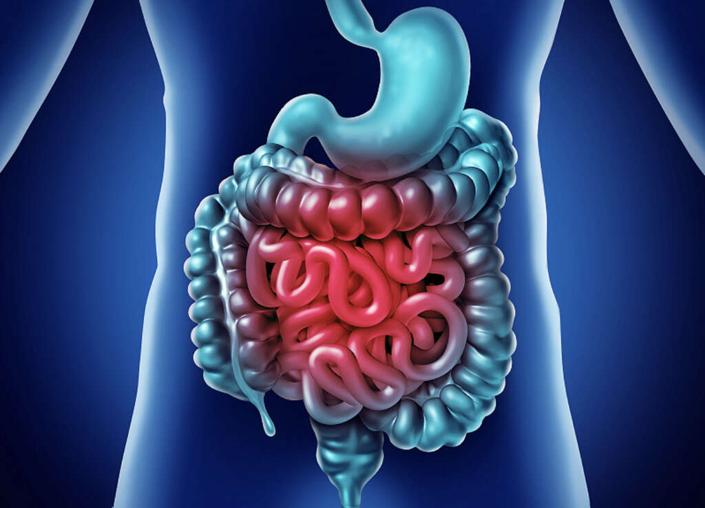 Pancreatitis
