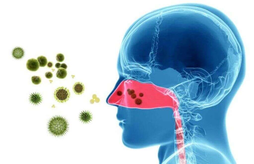 Post Nasal Drip