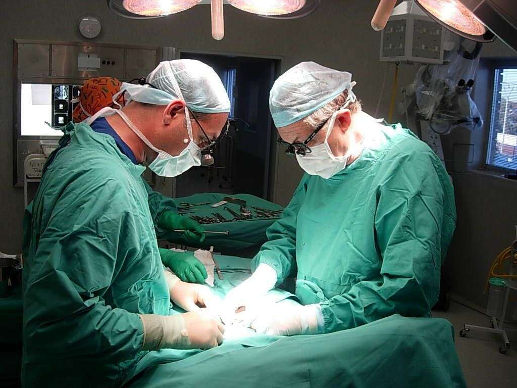 What Is Pyloric Stenosis?