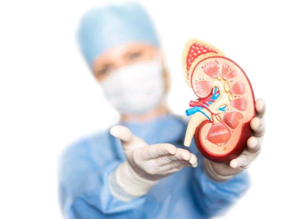 Renal Failure