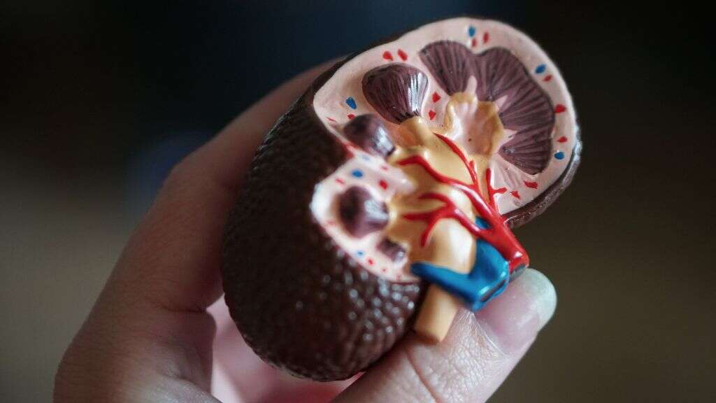 Renal Failure