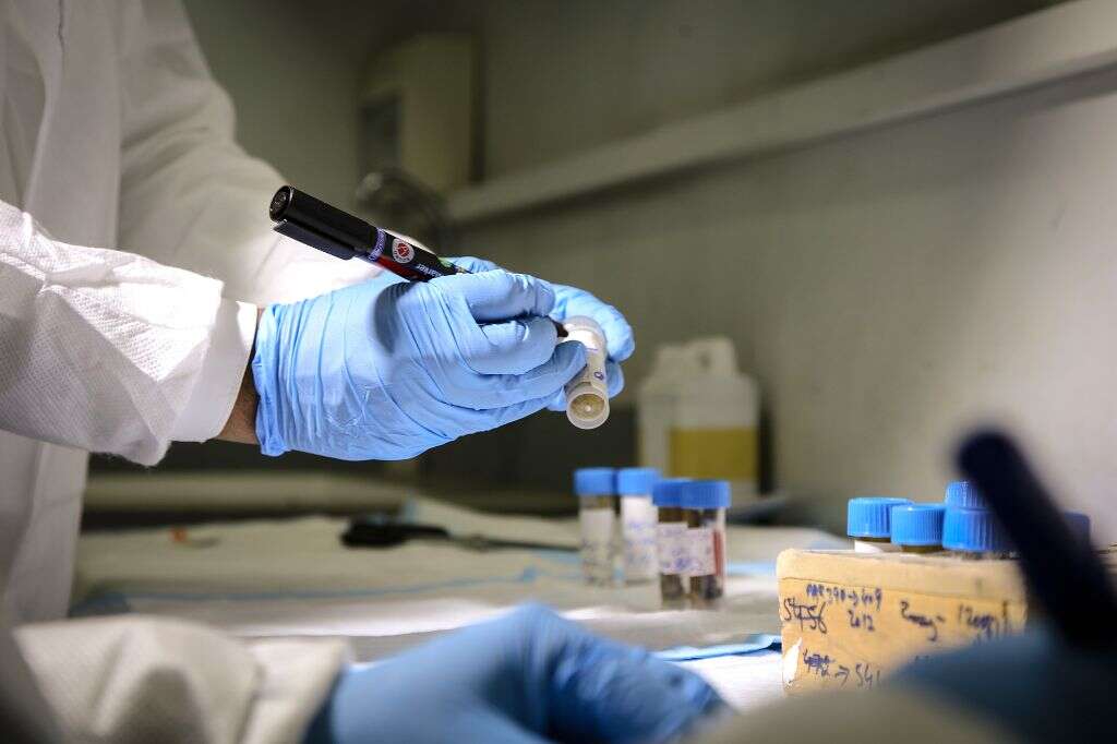 Rotavirus