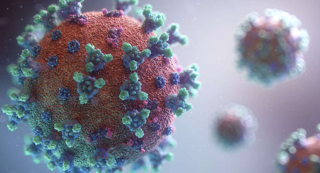 SARS Virus