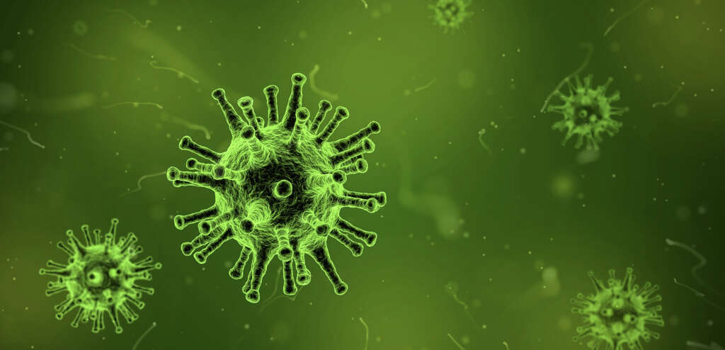 SARS Virus