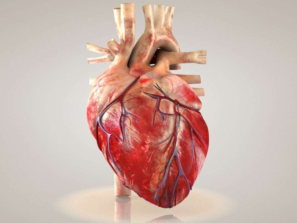 Sick Sinus Syndrome