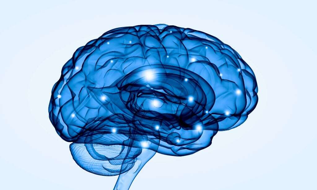 Blood-Brain Barrier