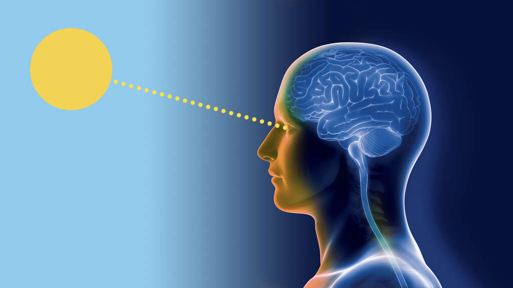 Circadian Rhythm