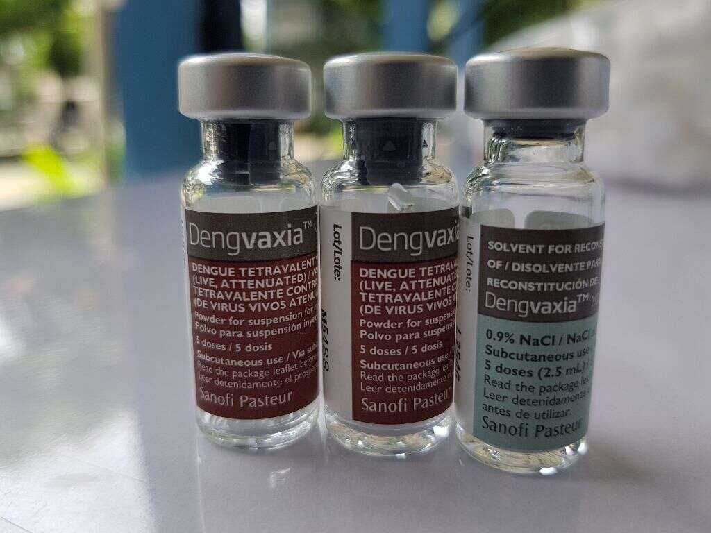 Dengue Virus