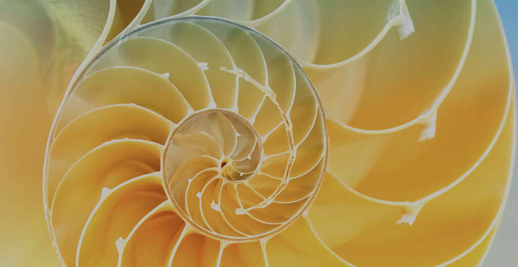 Golden Ratio