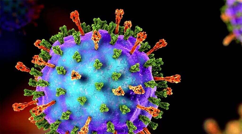 Mumps Virus