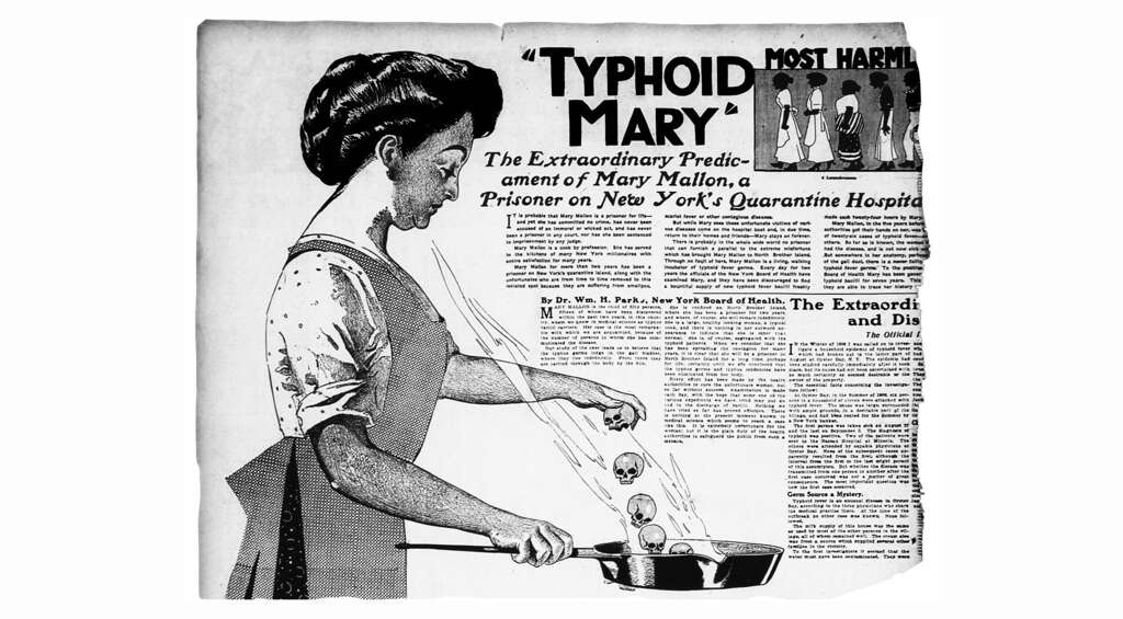 Typhoid