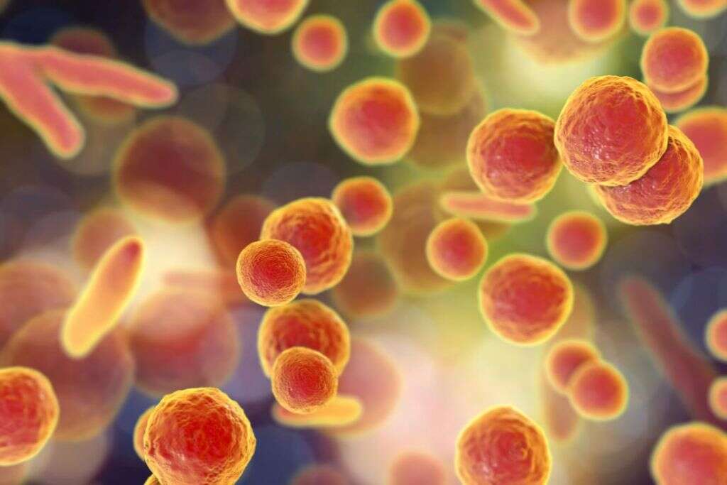 Walking Pneumonia