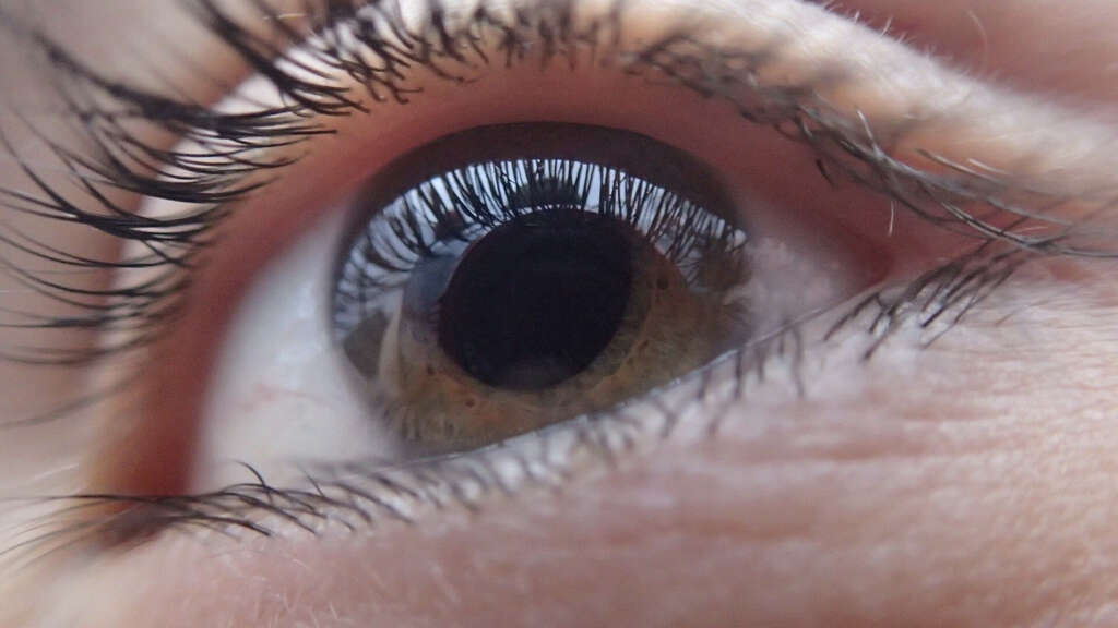 Red Eyes