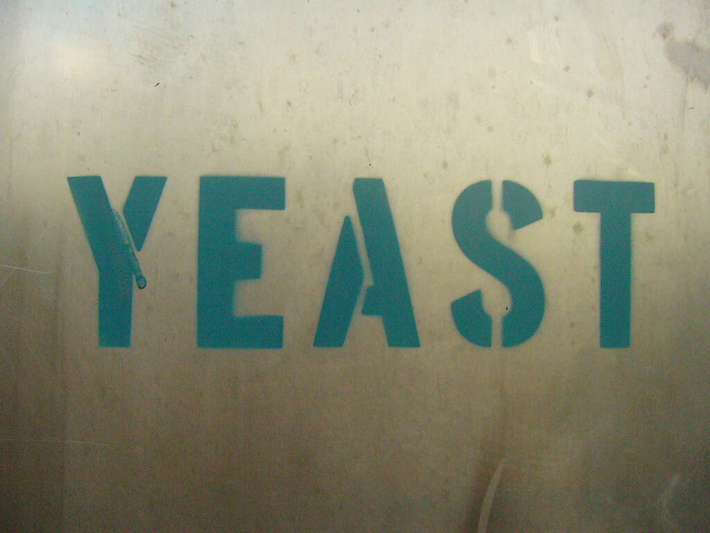 Yeast Infection